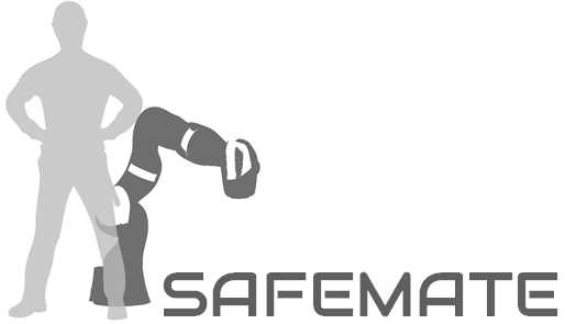 Vorstellung Forschungsprojekt: SafeMate